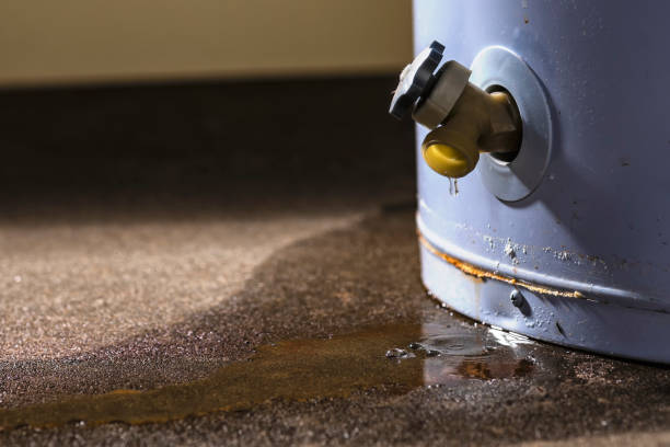 Carpet water damage restoration in Bassett, VA