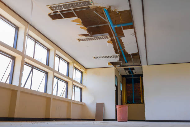 Best Ceiling water damage repair  in Bassett, VA