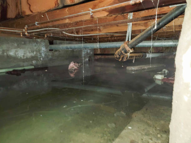 Best Water damage restoration cost  in Bassett, VA