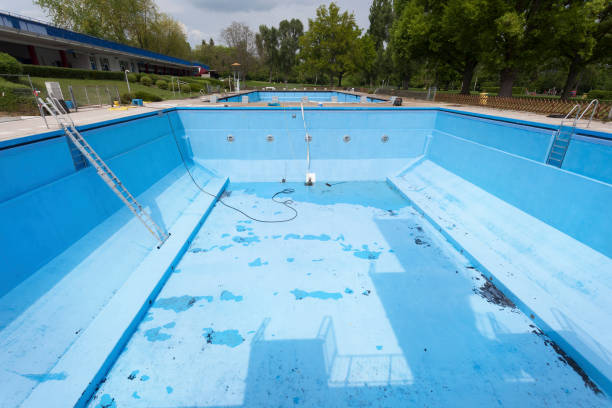 Best Professional water damage repair  in Bassett, VA