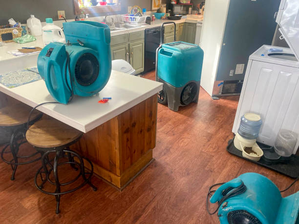 Best Water damage restoration near me  in Bassett, VA