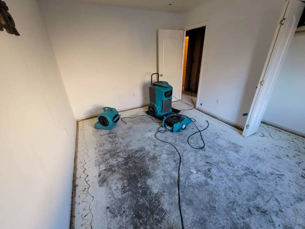  Bassett, VA Water damage restoration Pros