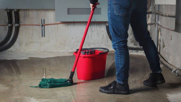 Best 24/7 water damage repair  in Bassett, VA