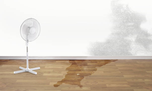 Best Water damage repair service  in Bassett, VA