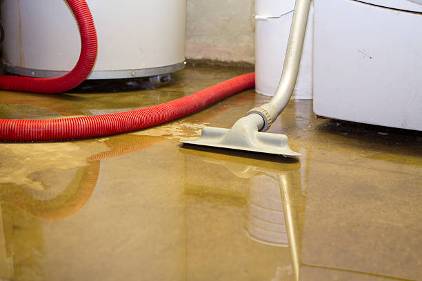 Best Fire Damage Restoration  in Bassett, VA